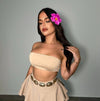 AGATA SET