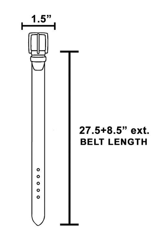 CHARMED BELT